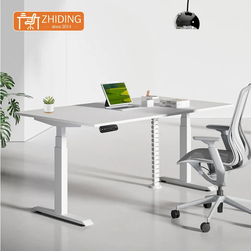 Sit Stand Desk Dual Motor Cheap China Wholesale Adjustable Table Height Electric Height Adjustable Lifting Desk for Study