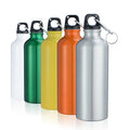 500ml 750ml Promotional Gift Custom logo Colorful Reusable Aluminum Sports Drink Water Bottle With Carabiner