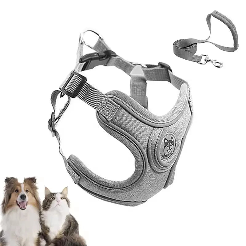 Best Quality New Luxury Pet Supplies Custom Printing Engraving Separation Buckle Flower Hardware Plastic Safety Dog Harness Set