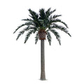 Factory Wholesale Cheap Price High Simulation Large Artificial Plants Fake Date Palm Tree in Saudi Arabia for Garden Hotel Decor