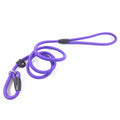 Custom 8ft 6ft 5ft Nylon Durable Handle Slip Training Retractable Dog Leash with Solid Ribbons Long P Chain Cowhide Rope
