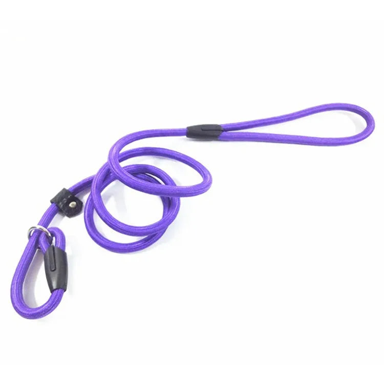 Custom 8ft 6ft 5ft Nylon Durable Handle Slip Training Retractable Dog Leash with Solid Ribbons Long P Chain Cowhide Rope