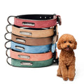 Personalized Custom Made Microfiber Solid Leather Waterproof Comfortable Multi-colors Portable Pet Collar for Dogs