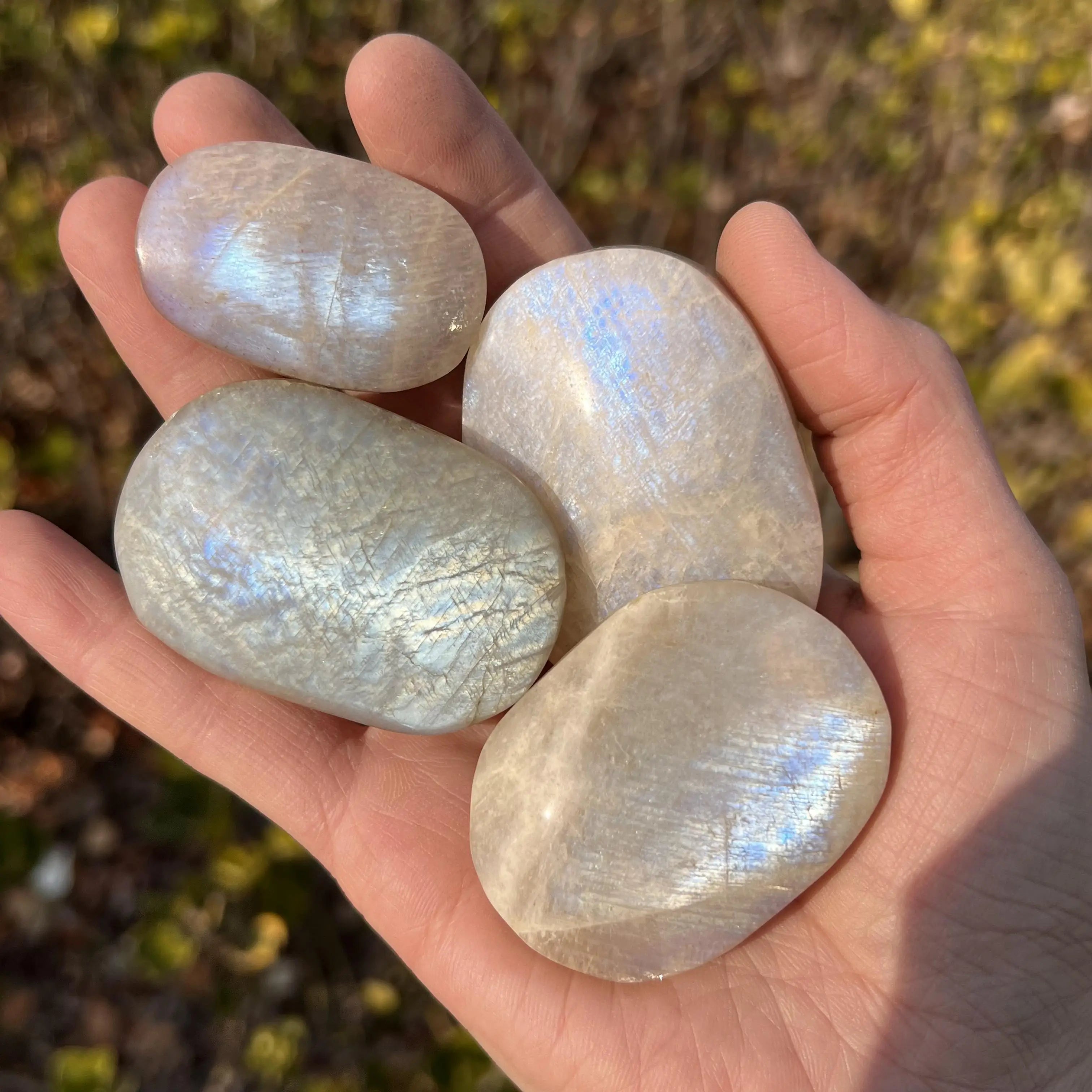 Hot Sales Natural Moonstone Palm Crystal Polished Tumbled Beauty Healing Stone for Fengshui Mascot Decoration