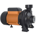High Power Thickened Impeller Tap Husbandry Irrigation Powerful HFM Centrifugal Pump Water Agricultural and Animal Electric 8m