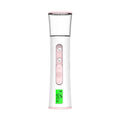 2022 Hot Sale Portable Face Spray Spa Moisturizing Nebulizer Double Spray-head Mini Nano Mist Sprayer With Skin Test Function