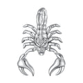 Wholesale 925 Sterling Silver Retro Scorpion Bead Charm Fit Bracelet Women Fashion Jewelry Accessories DIYSCC2509