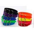 Western Style PVC Coated Dog Training Collar Extra Large Size Zinc Alloy Buckle Waterproof Light Feature Competitive Price