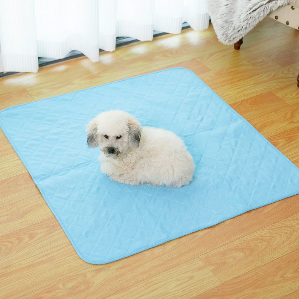 Customize Reusable Washable Pee Pads Reusable Training Pee Pads