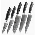 Professional Kitchen Damascus Steel 5 Pcs Chef Knife Set with G10 Handle Knife