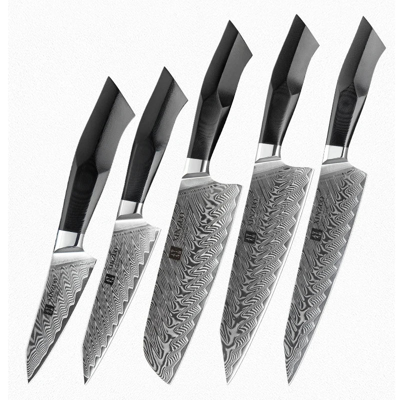 Professional Kitchen Damascus Steel 5 Pcs Chef Knife Set with G10 Handle Knife