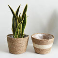 Natural Seagrass Planter Straw Basket Indoor Flower Pots Cover Plant Containers