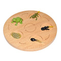 Montessori Children's Beech Wood Animal Life Cycle Board Game Educational Nature Learning Teaching Aids Science Toys for Kids
