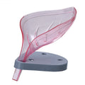 Soap Holder Leaf-Shape Self Draining Dish Not Punched Soap Box with Suction Cup Soap Dish Suitable for Shower Bathroom