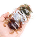 Soft Fishing Crab Lures 8cm 19g Artificial Bait with Hooks Lure Carp Soft Fishing Lure