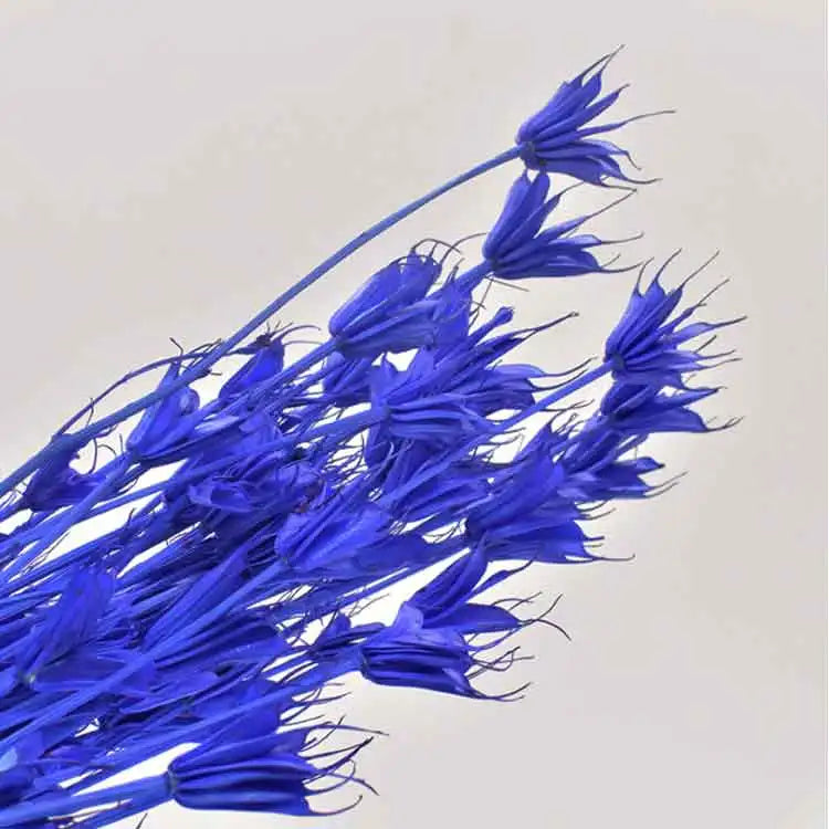 Craft Decorative Dried Arch Flower Artificial Plant Everlasting Flower Colorful Indoor/Outdoor