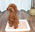 Wholesale Plastic Doggie Indoor Pet Potty Tray Park Corner Dog Toilet Dog Wee Pee Pads Tray Toilet for Dog