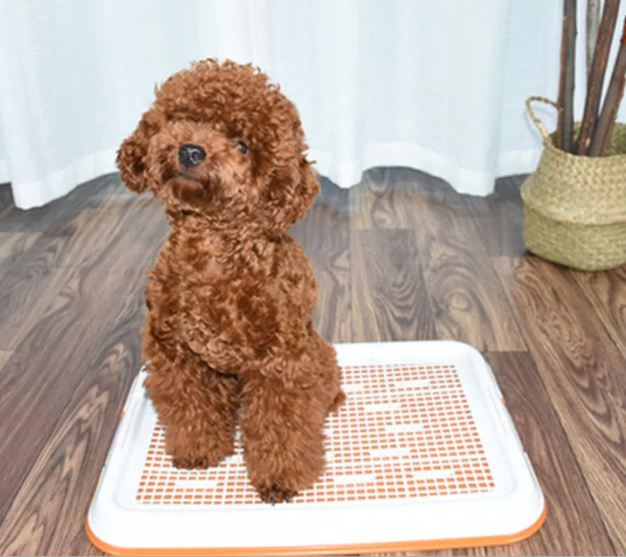 Wholesale Plastic Doggie Indoor Pet Potty Tray Park Corner Dog Toilet Dog Wee Pee Pads Tray Toilet for Dog