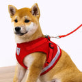 Good Quality Breathable Mesh Reflective Sport Puppy Dog Harness Vest Soft Breathe Vest Dog Harness Mesh