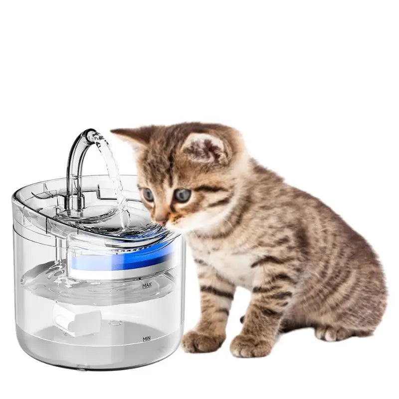 How to Choose the Perfect Pet Water Fountain for Smart Cat Water Fountain