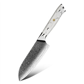 Amber Custom White Turquoise Stone Handled 5inch VG10 Damascus Steel Mini Santoku Chef Knives with Kitchen Knives Santoku