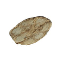 Ding Gong Teng Natural Caulis Erycibes Raw Dried Erycibe Obtusifolia Stems Cuts Erycibe Schmidtii Slices for Sale