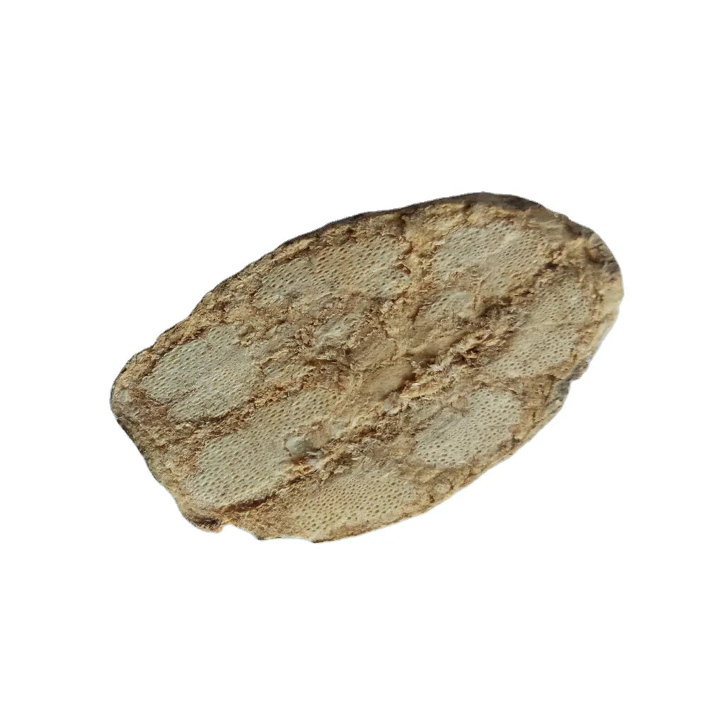 Ding Gong Teng Natural Caulis Erycibes Raw Dried Erycibe Obtusifolia Stems Cuts Erycibe Schmidtii Slices for Sale