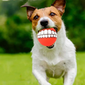 INS Twitter Hot Product Eco-Friendly Dog Toy Ball Vinyl Rolling Ball with Sound Sustainable and Durable