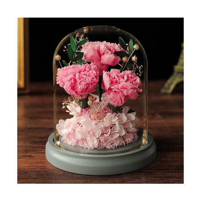 AM-PFA28A Ammy Mother's Day Preserved Flower 3 Carnation in Glass Dome Carnation Eternal Flower Romantic Gift Glass Dome