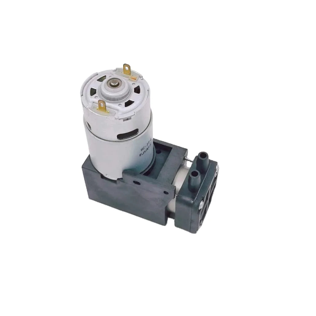 Feiyinsi Continuous Watering Customized 3750mmHg Pressure 12V Electric Diaphragm Brush DC Air Pump