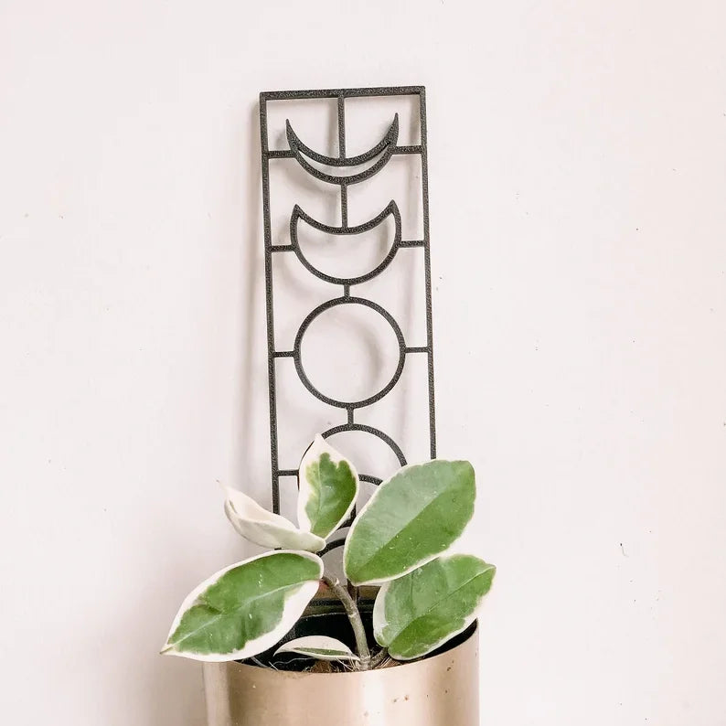 Acrylic Trellis Decoration for Houseplant Plant Stake Support Houseplant Trellis