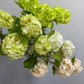 I721 Small Hydrangeas Artificial 5-heads Flower Single Stem Wholesale New Arriving Color for Wedding Home Decoration