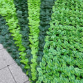 Outdoor Artificial Boxwood Hedges Panels Leaf Fence Silk Hedge Wall Backdrop Type of Grass Elegant Outdoor Fences