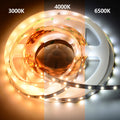 COXO Cct Cob Led Strip Light Dual 3 2 in 1 14w 3000k 4000k 6500k Adjustable Full Spectrum Cct Led Strip