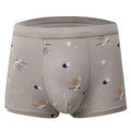 Latest Luxury Underwear Men Boxer Briefs Print Boxer Briefs Men Underwear