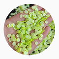 5mm 10mm Green Lemon Lime Polymer Clays for DIY Nail Arts Fruit Crafts Fruit Plastic Klei Mud Particles Slime Filler Slices 500g