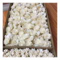 Sola Wood Flower Garlands Handmade Sola Wood Flower Sublimation Rose Wooden Roses