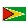 Ready to Ship 100% Polyester 3x5ft Stock Factory Printed GY Guyanese Guyana Flag
