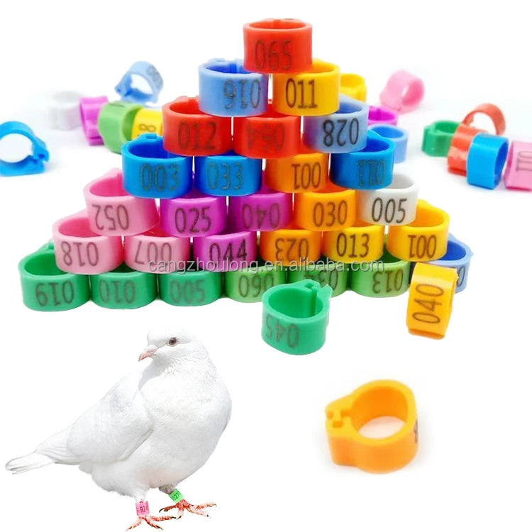 YYB LMA09 Pigeon Foot Rings Multi-color Bird Leg Ring With Word Earrings