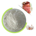 Factory Supply Garlic Extract Powder 5:1 for Cardiovascular and Immune Support - Bulk Drum Packaging