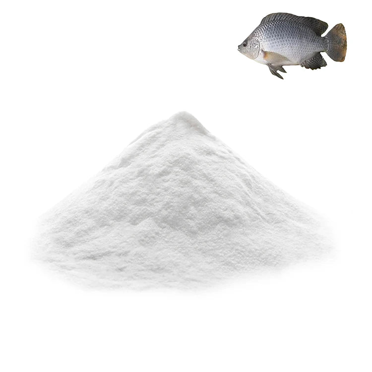 Unflavoured Hydrolyzed Fish Marine Collagen Protein Powder for Beauty Good for Skin Hair