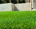 Premium PawGrass