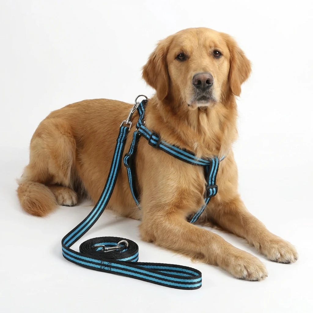 Reflective Customizable Dog Harness with Thick Rope Leash Colorful Pet Safety Vest for Small Medium Dogs