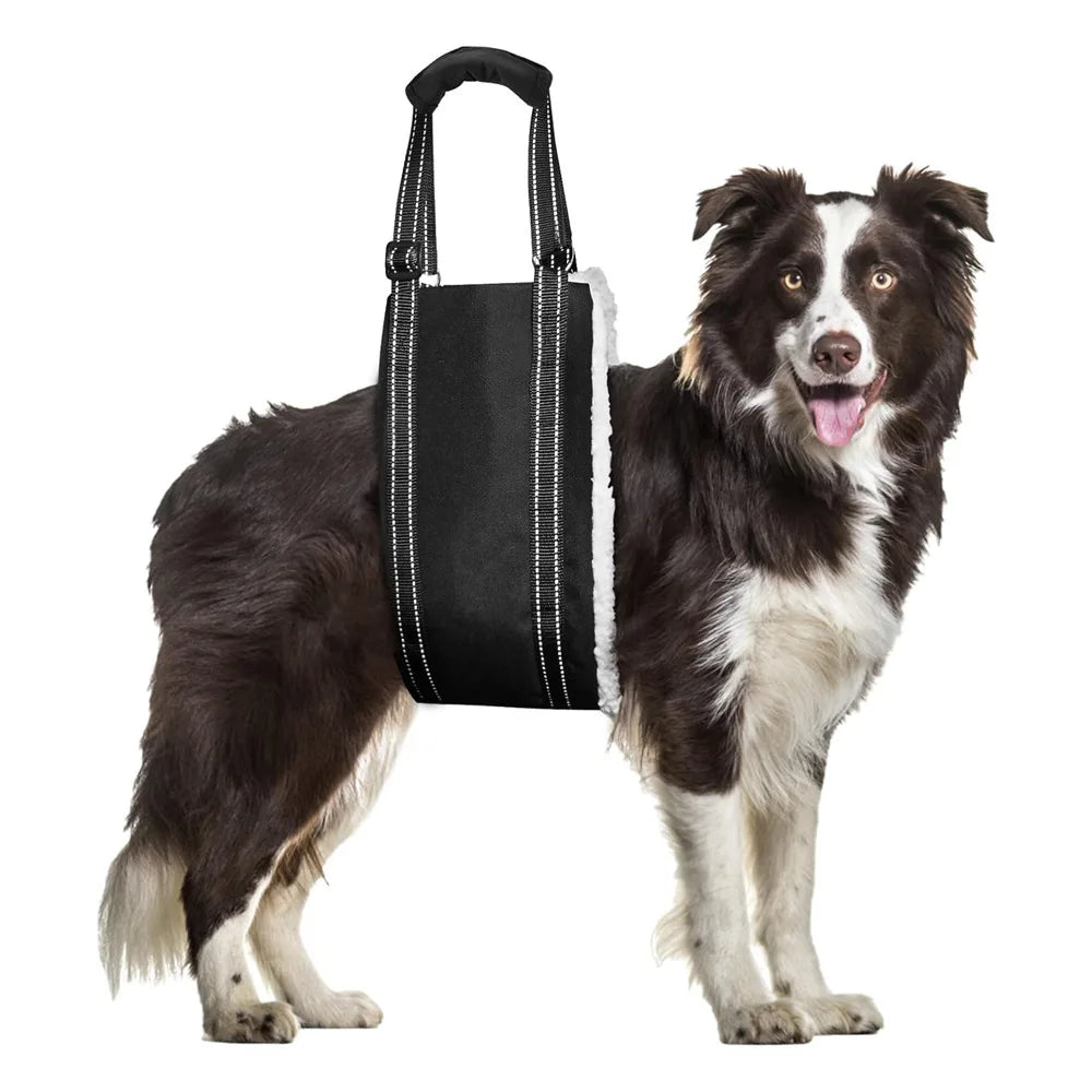 Adjustable Dog Support Harness Helps Senior Elderly Injured Pet Sling Hind Leg Support Dog Sling Carrier Dog Lift Harness