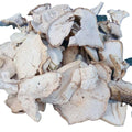 Dried White Sliced Calvatia Gigantea Dried Giant Puffball Fungus for Sale