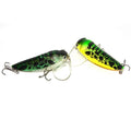 TAKEDO RL15  7cm 13g 6# Hook New Design Topwater Trout Fishing Lure Hard Plastic Popper Sea Bass Insect Bait Cicada Fishing Lure