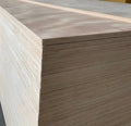 Factory Direct Moisture-proof Plywood with Customizable Colors First-Class Grade E0 Formaldehyde Emission for Furniture
