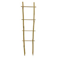 Natural Bamboo Cane Heat Treated Eco-Friendly Customizable Size & Dimensions All-Season Farm/Garden Use Flower Support Trellis