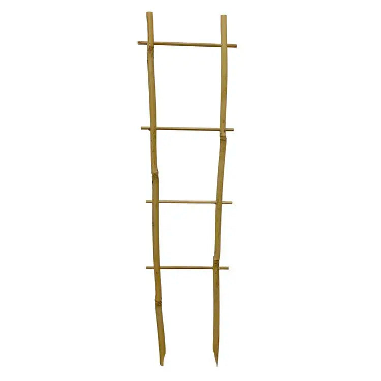 Natural Bamboo Cane Heat Treated Eco-Friendly Customizable Size & Dimensions All-Season Farm/Garden Use Flower Support Trellis