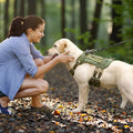 Customizable Nylon Leather Dog Vest Harness Tactical Luxury Reflective Waterproof Adjustable Multi-Functional Pet Safety Gear